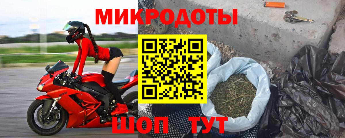 Псилоцибиновые грибы Psilocybine cubensis  Псилоцибиновые грибы мицелий  Владивосток  Вход с VPN 